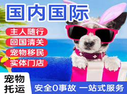 大连周水子航空空运国际宠物托运 【国